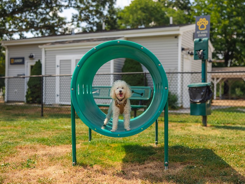 Sun Outdoors Mystic photo 3